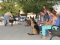 Concurso canino - 1 Concurso canino - 1